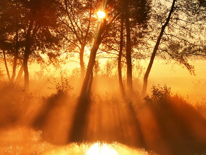 paysage solaire